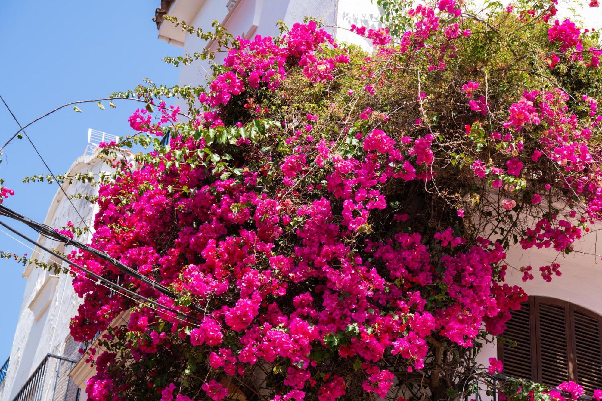 Marbella Luxury Duplex 106 Close To The Beach Ngoại thất bức ảnh
