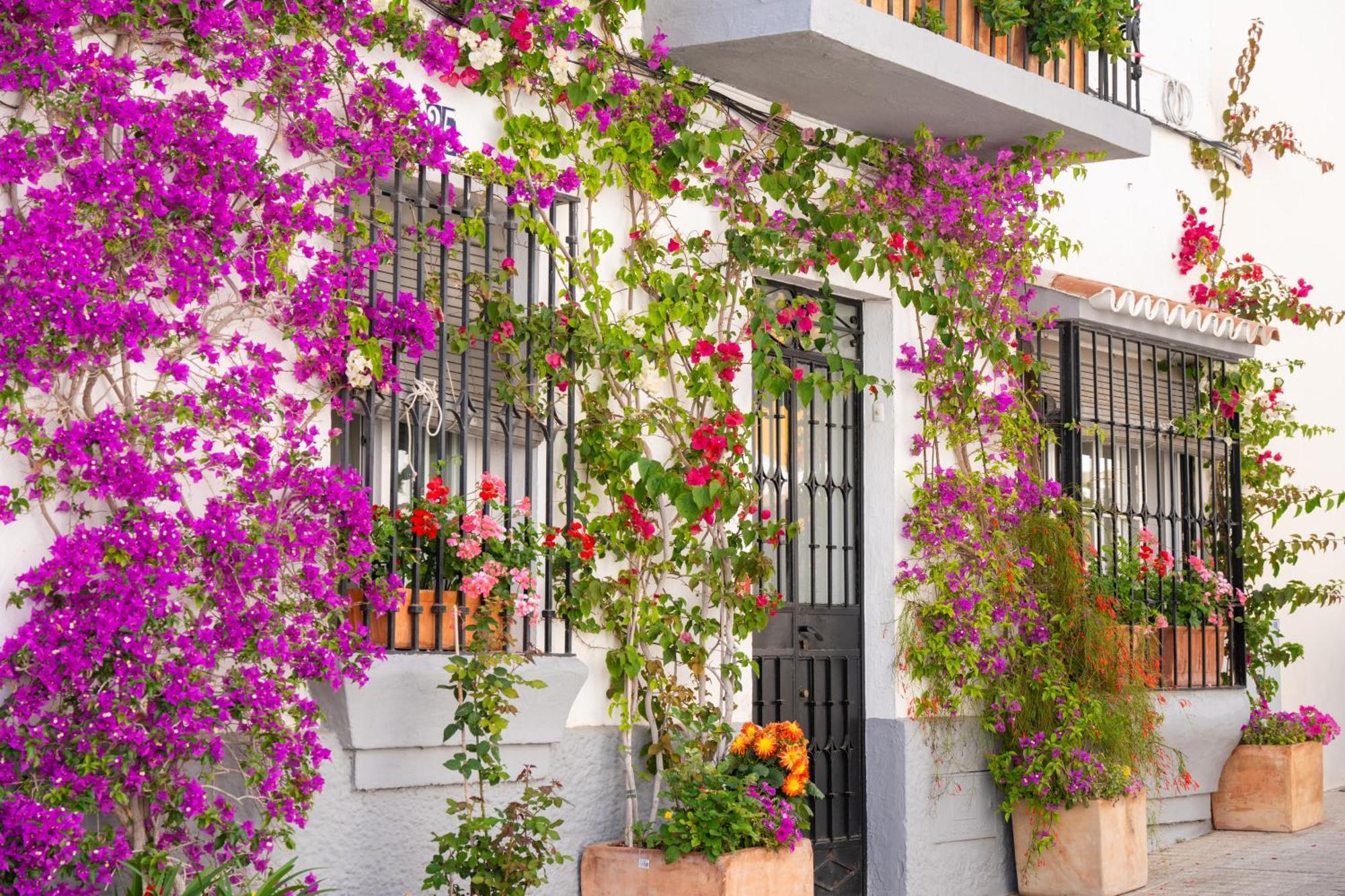Marbella Luxury Duplex 106 Close To The Beach Ngoại thất bức ảnh